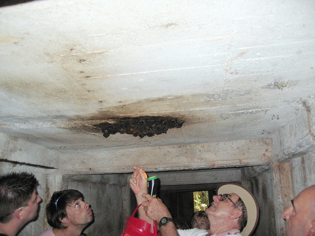 CairnsTC450 Paronella Park.jpg